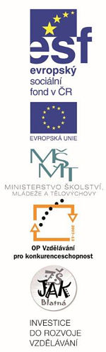 Evropský sociální fond v ČR